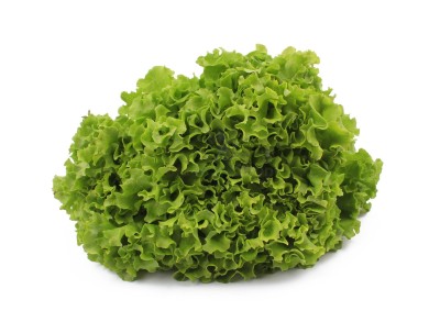 Салат романо 1 кг - купить в Нуженалах